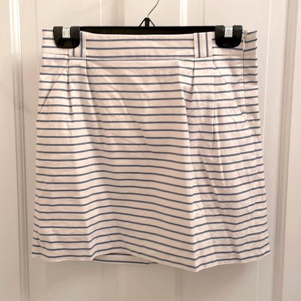 The Limited White and Blue Striped Skirt with Pockets